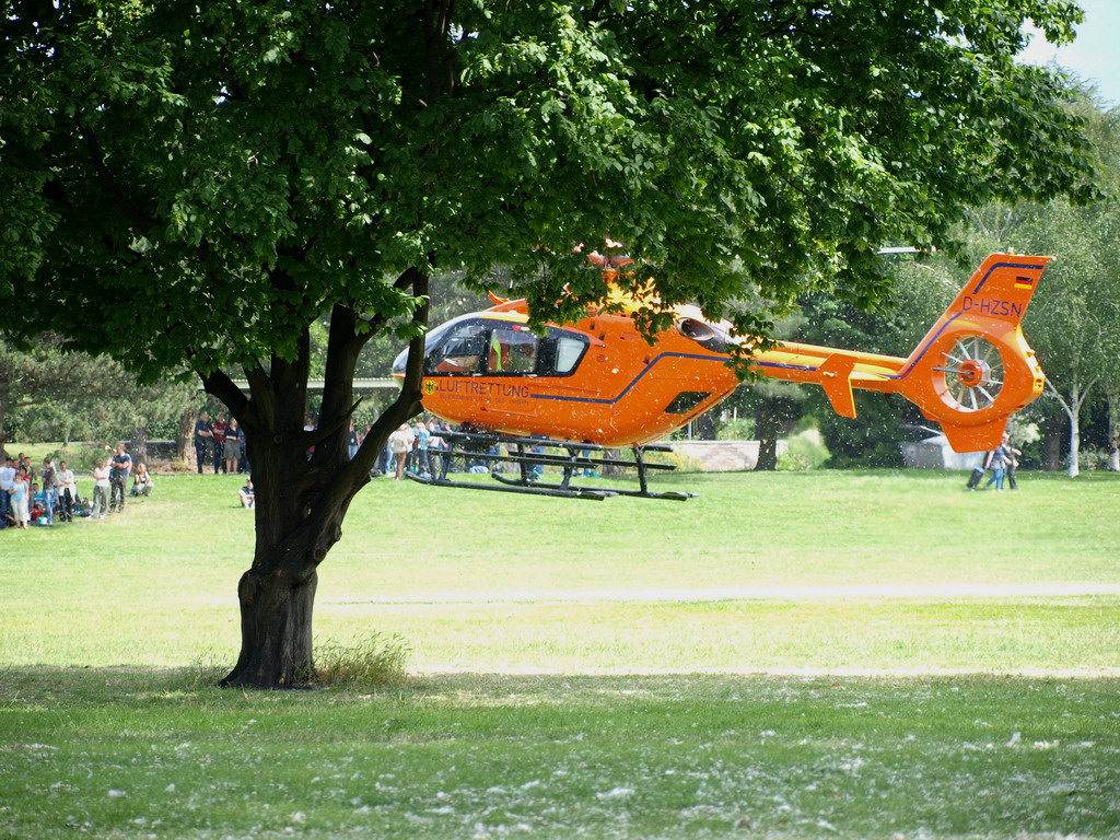 Wasserleiche angespuelt Koeln Deutz Rheinpark Hoehe Zoobruecke P08.JPG